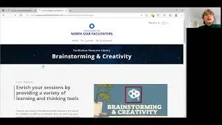 Bronze Overview | Professional Facilitator Development Library