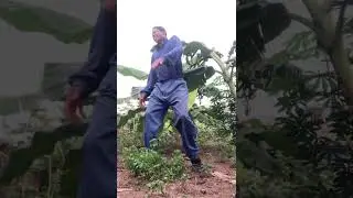 I&rsquo;m the new best African trending dancer/Walker_african trending sounds #dance #funny #trend #shorts