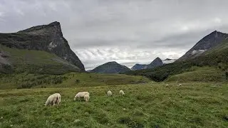 Heregga - Epic Hike from a Rural Goat Farm | Hidden Gems of Norway