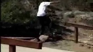 Gods of Skating - Steve Caballero