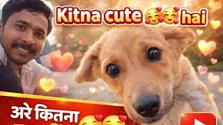 New Blog video mukesh Creation 😀😀😀 funny video comedy reels funny reels 🐶🐶🐕🐕 dog is so cute 🥰🥰🥰