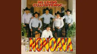 500 NOVILLOS