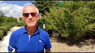 Intervista a Massimino De Tollis sul Museo del Profumo a Sant'Elena Sannita (di Maurizio Vitiello)