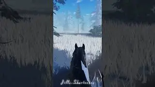 Galloping is the best feeling￼❤️ Galloping on Duke, Check my community posts #horse #blowup