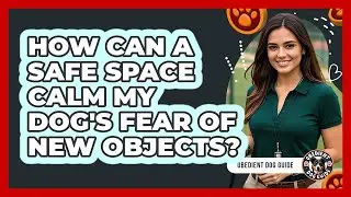 How Can A Safe Space Calm My Dog's Fear Of New Objects? - Obedient Dog Guide