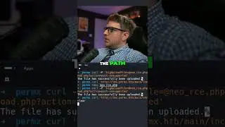 Stabilizing My Shell & Upgrading My TTY for Ethical Hacking | Privilege Escalation Techniques