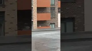 Light snowfall ❄️❄️🥶#viral #funny #enjoyment #enjoy #snowfall #snow