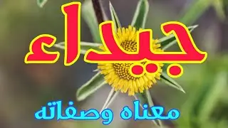 معنى اسم جيداء وصفات من تحمل هذا الاسم !!