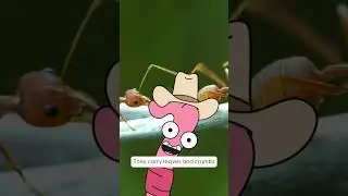 🎶 Earth Cubs! | Ants Ants Ants Dance Party! 🐜💃🕺 | Join the Fun & Learn Teamwork! 💚