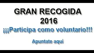 Hazte Voluntario - Gran Recogida 2016 - Banco de Alimentos de C&aacute;diz