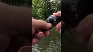 Shallow Bass Smash Junk Fishing  #fishingtips #catchmorefish #bassfishing #fishing #jigfishing #fish