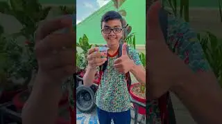 Tauba Tauba ❤️🥰 #shorts #trending #shortvideos #viralvideos #love