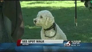 See Spot Walk