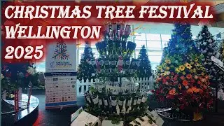 CHRISTMAS TREE FESTIVAL / WELLINGTON / NEW ZEALAND / 2025