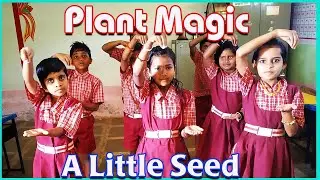Plant Magic