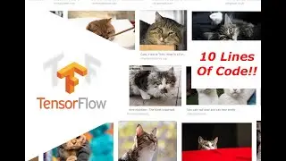 Tensorflow Image Recognition with Python!