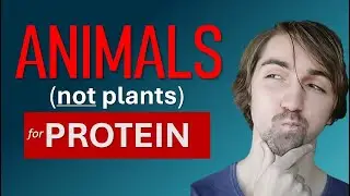 Animal protein is way better than plant protein period!    @blaiseV