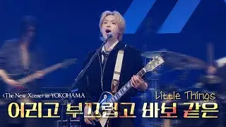 260114 어리고 부끄럽고 바보 같은 (Little Things) - Xdinary Heroes 가온 GAON Focus | 'The New Xcene' in YOKOHAMA