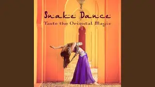 Art of Belly Dance