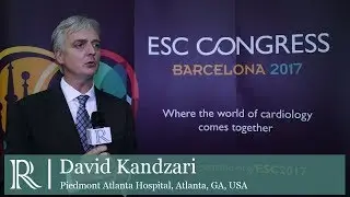 Safety and Effectiveness of the Orsiro Sirolimus Eluting Coronary Stent - Part 2