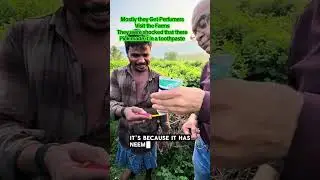 #toothpaste #gurunanda #farmersopinion #farmtobottle