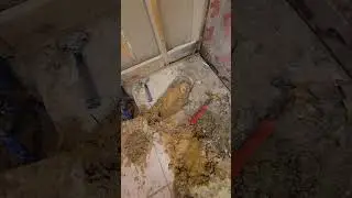 Small to large shower conversion II