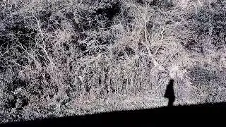 The Calling