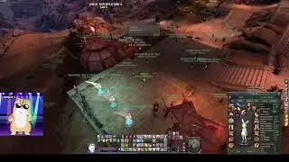 Laughing Live Stream