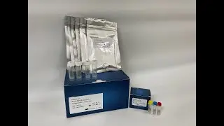 PaxView&reg; STI 12 MPCR-ULFA Kit_PaxGenBio