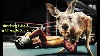 Boxing Bell Sound Effect - Boxing Ring, Ding! Ding! Ding!