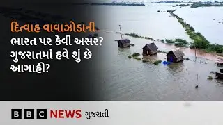 Cyclone Ditwah ને લઈને શું છે આગાહી? આગામી દિવસોમાં ગુજરાતમાં કેવું રહેશે હવામાન?