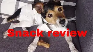 Dog snack review 1. Joe The Dog