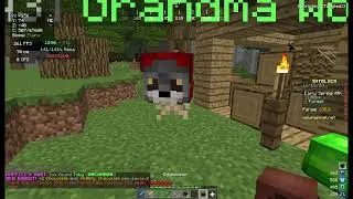 Hypixel Skyblock 23: Skyblock Level 22, Foraging Collections