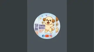 Simba boss is live don&rsquo;t forget to like and subscribe