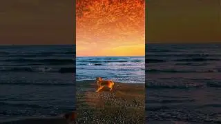 peaceful nature#sunset #animals #calm  #aesthetic #slowed #nature