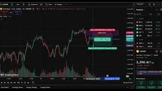 Safe Trade No Loss