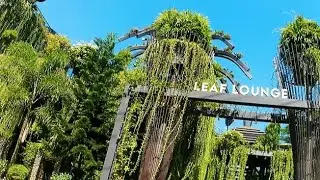 LEAF LOUNGE রেস্টুরেন্টের সৌন্দর্য দেখুন পদ্মা সেতু পার হয়ে সামনে সুন্দর মনোরম পরিবেশ!