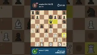 Chess game for beginners 