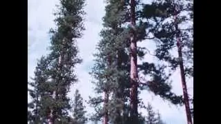Jewel Basin Throwback: 1963