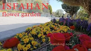 Isfahan Flower Garden | A paradise of colors and fragrances in the heart of the city