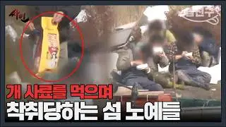 [#밥친구] 개 사료를 먹이고 발에는 족쇄까지? 충격적인 섬 노예의 생활 | #싸인 17회