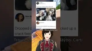 Почему они так поступили с собакой? #vtuber #drama #envtuber #memes #reddit #anime #dog #fien #fein