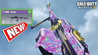 *NEW* PKM Prism Gunsmith with No Recoil | CODM