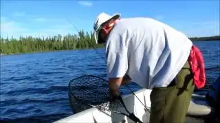 9 Casts, 9 Walleye