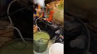 Hobby E-waste stripping LG ph,  no acids