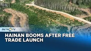 Hainan Free Trade Port Booms in First Month
