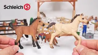 Schleich Horse Club Foals Collection