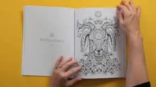 Sacred Animals - Adult Coloring Book Trailer