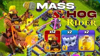 Easy and Simple Strategy! TH15 Mass Super Hog Riders: Legend League Devastation!