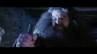 Hagrid Shoots Off The Hawk&rsquo;s Feather (Harry Potter X The Seventh Brother)